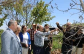 Elazığ'da Zirai Don Nedeniyle Zarar Gören Meyve Bahçeleri İncelendi