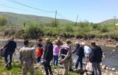Elazığ Karakoçan'daki Ohi Deresi'nde Balık Ölümleri: Sudaki Kirlilik Şüphesi Üzerine Numune Alındı