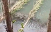 Karakoçan'da Şiddetli fırtına hayatı felç etti
