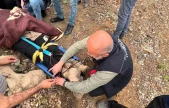 Elazığ'ın Palu İlçesinde Uçurumdan Düşen Vatandaş Kurtarıldı