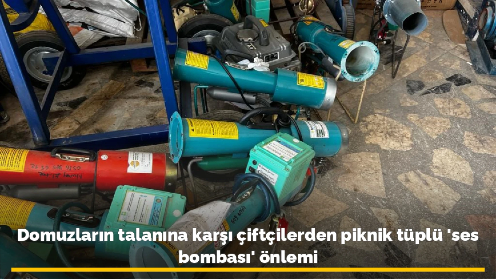 Domuzların talanına karşı çiftçilerden piknik tüplü 'ses bombası' önlemi