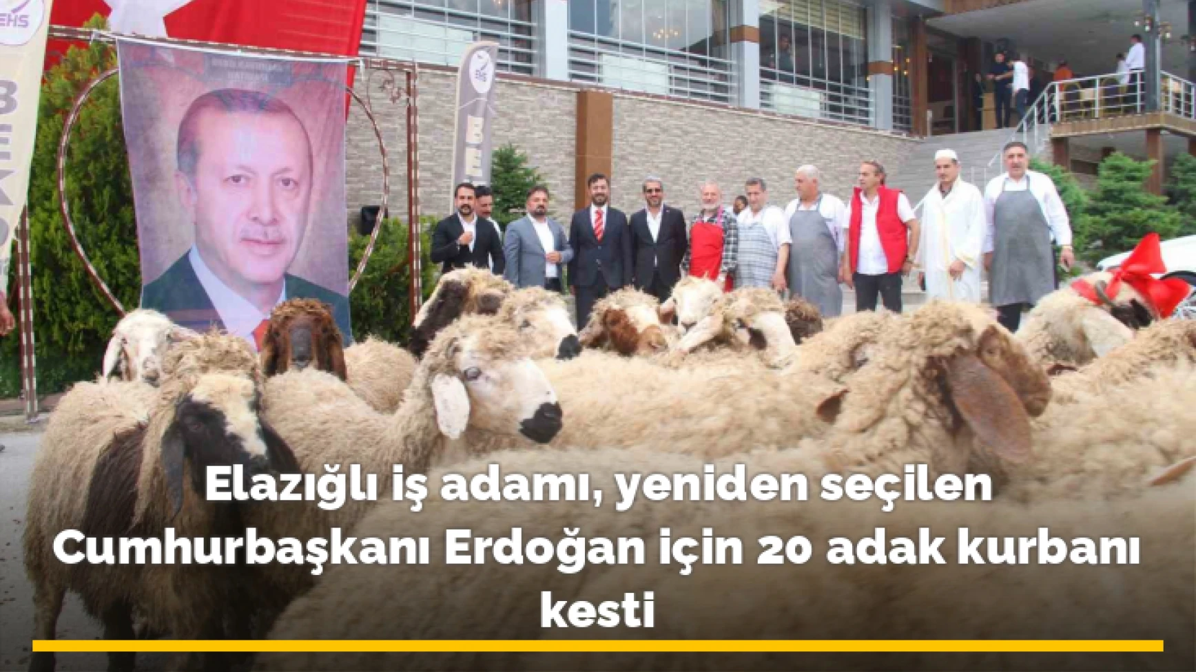 Elazığlı iş adamı, yeniden seçilen Cumhurbaşkanı Erdoğan için 20 adak kurbanı kesti