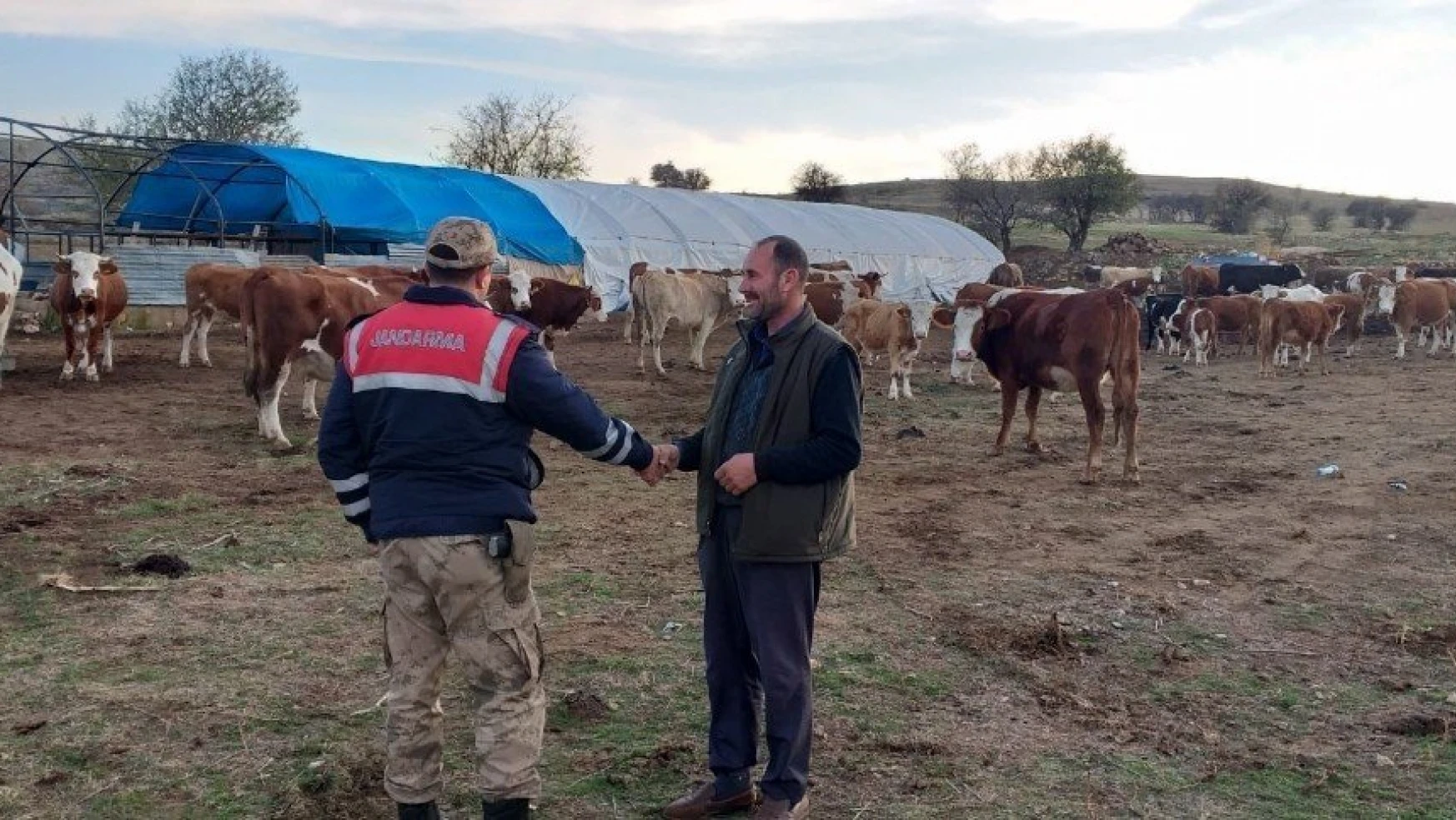 Hal Köyünde Jandarma, Kayıp Hayvanları Drone İle Buldu