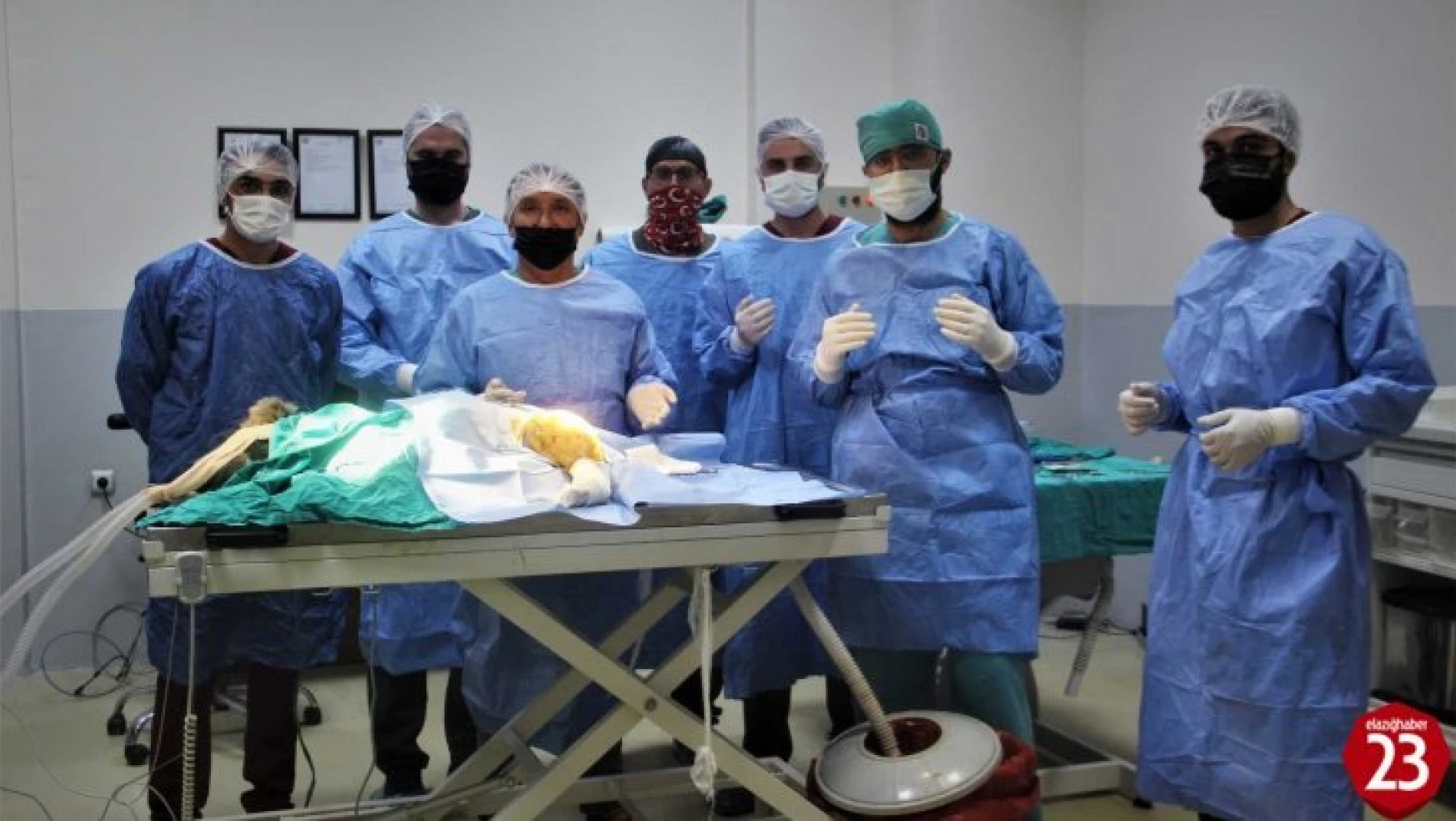 Araç Çarpması Sonucu Bacakları Kırılan Yavru Ayı Elazığ'da Ameliyata Alındı