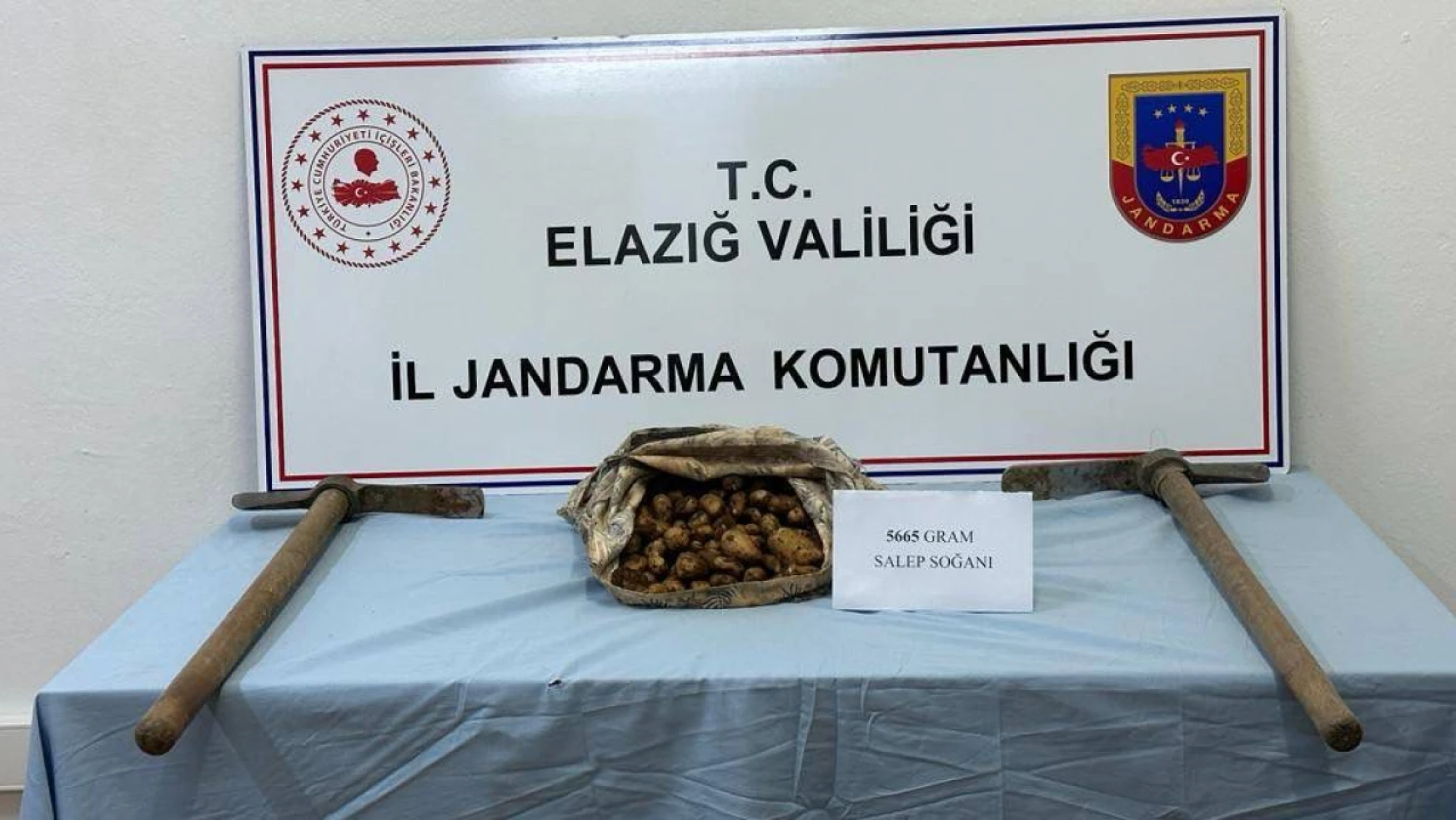 Arıcak'ta Bir Kişi Kaçak Salep Soğanı Toplarken Yakalandı