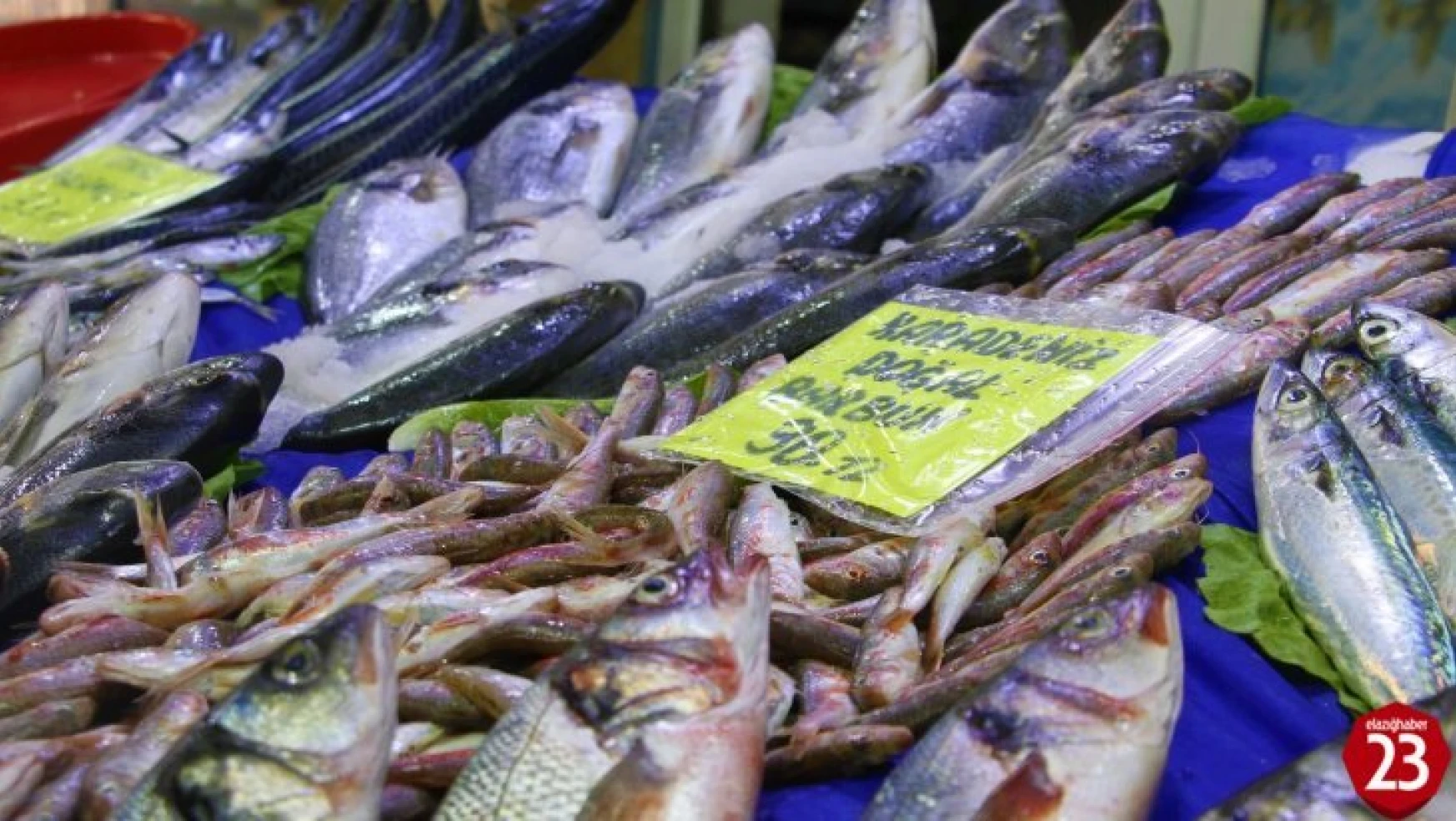 Av Sezonu Açıldı, Elazığ'da Balıklar Tezgahlardaki Yerini Aldı