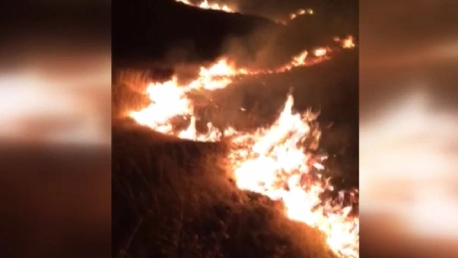 Baskil'de Kayısı Bahçelerinde Çıkan Yangın Söndürüldü