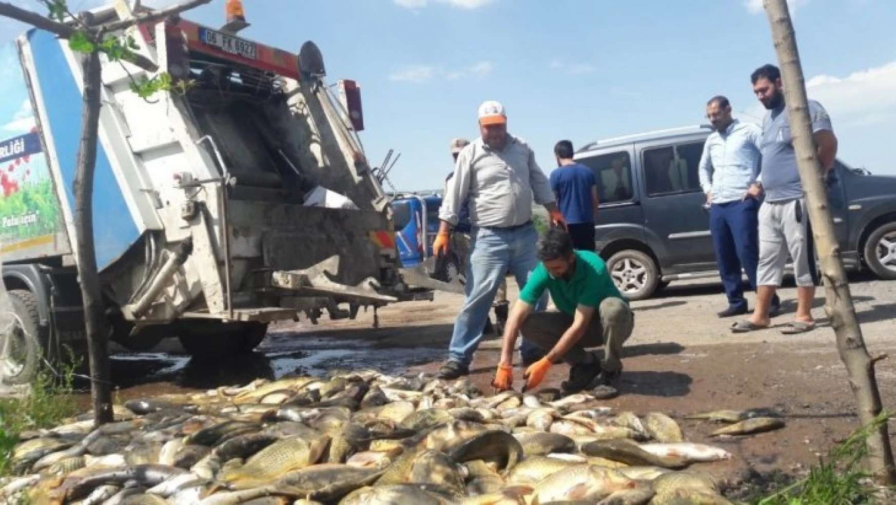 Bir Kaçak Balıkçılarımız Eksikti, Bu Kez de 1 Ton 200 Kilo Balık Çöp Oldu