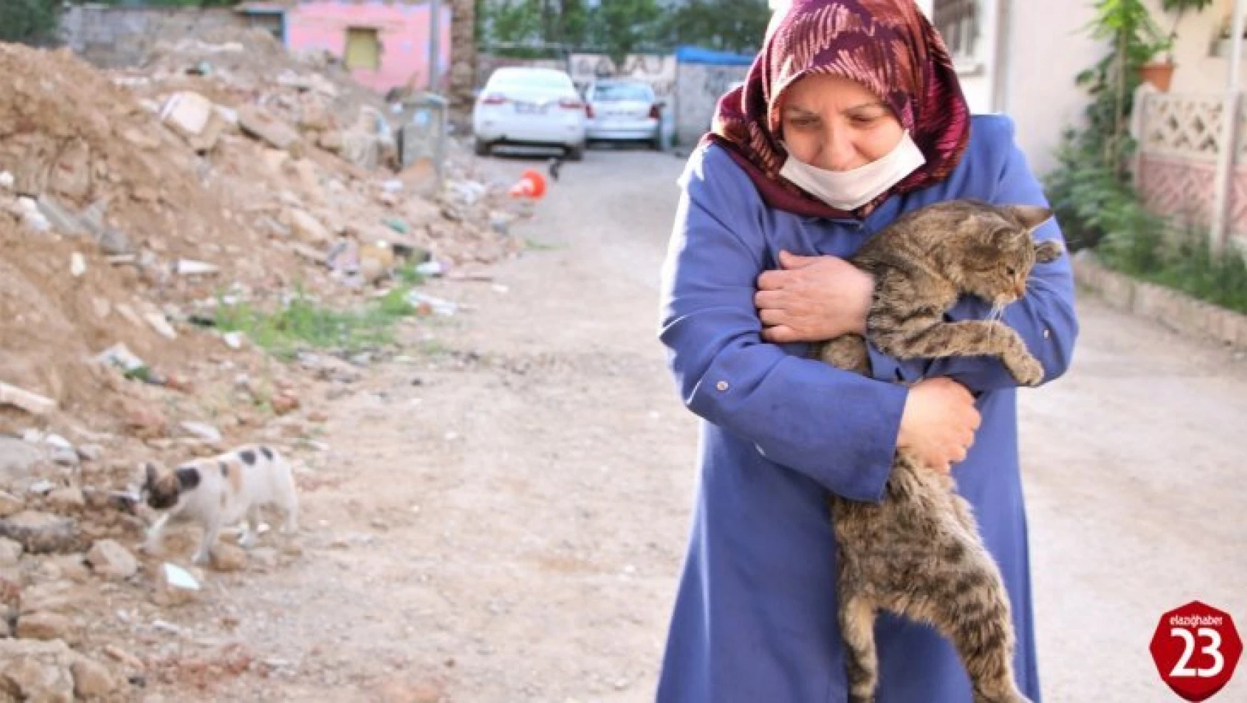 Çocukları vefat eden Fatma teyze, 35 kediye anne şefkatiyle bakıyor