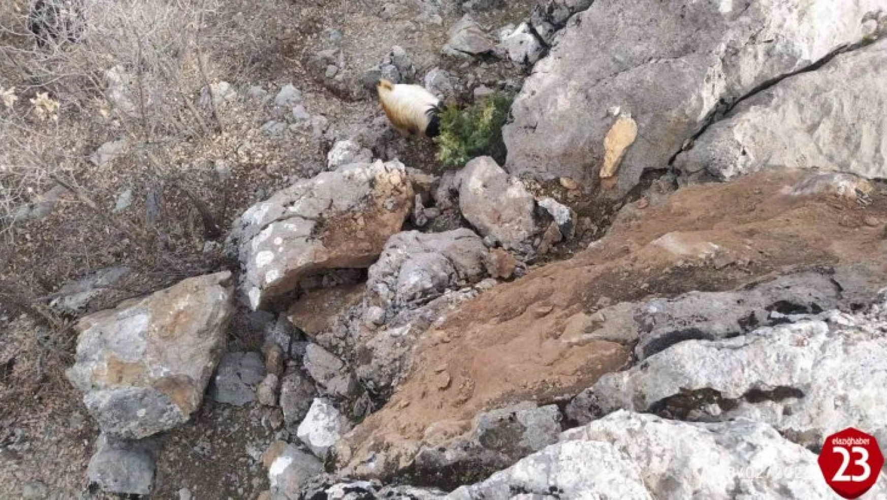 Arıcak'ta Deprem Sonrası Dağdan Kopan Dev Kaya Parçaları Tehlike Saçıyor