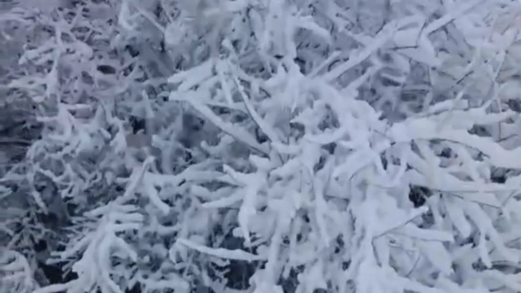 Elazığ Baskil'de kar yağışı etkili oldu