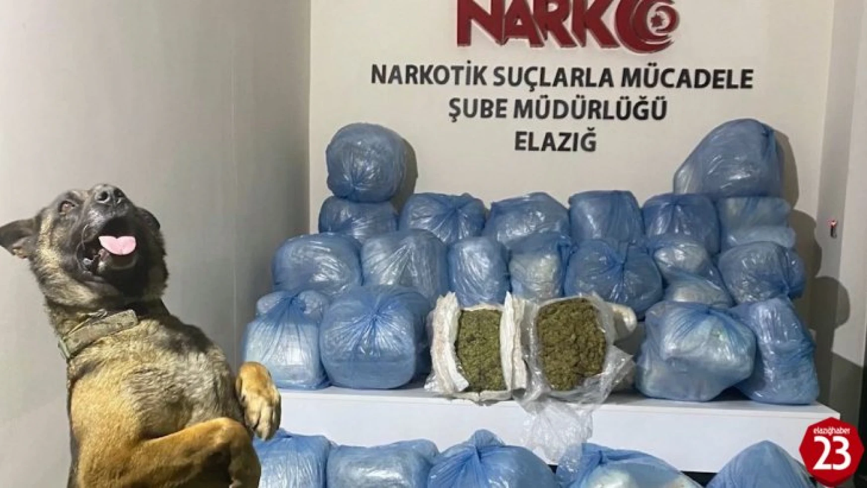 Elazığ'da 123 Kilo Uyuşturucu Madde Ele Geçirildi, 11 Kişi Tutuklandı