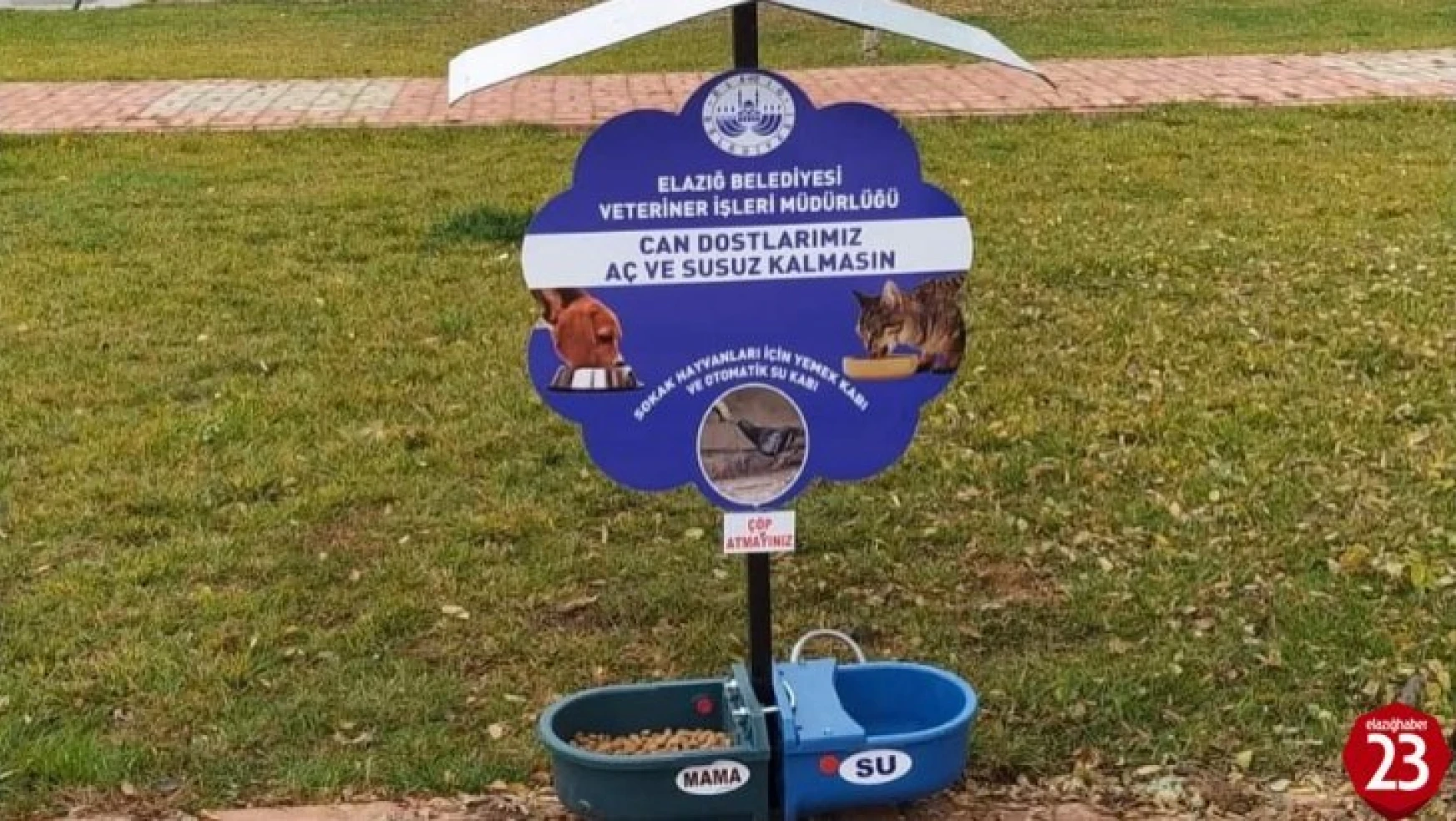 Elazığ'da 90 parka, sokak hayvanları için su ve mama kapları bırakıldı