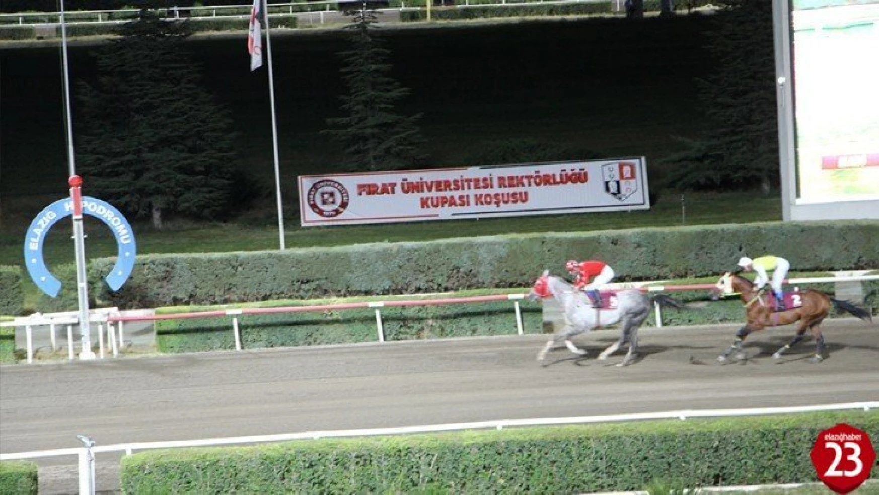 Elazığ'da at yarışlarına sayılı günler kaldı