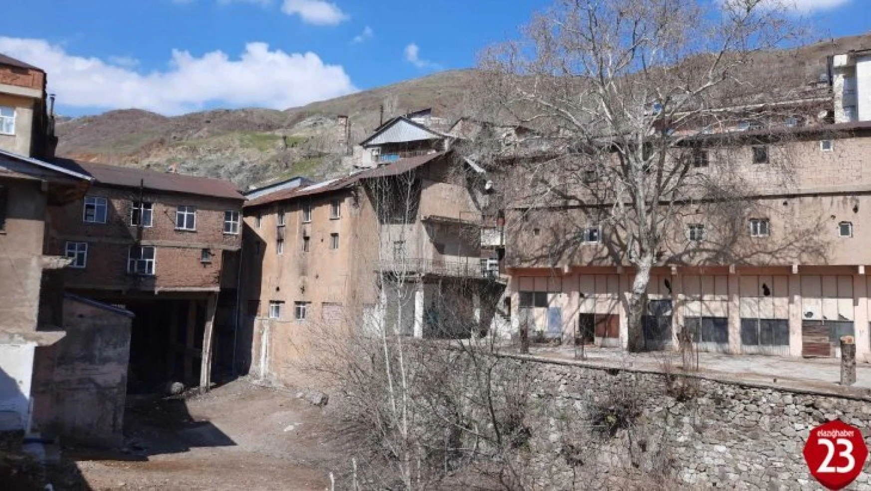 Maden'de Bulunan 115 Yıllık Dua Çınarı Tescillendi