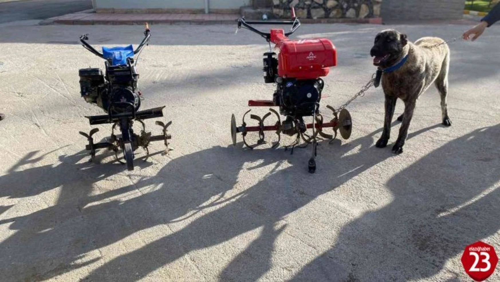 Elazığ'da çapa motoru ve kangal köpeği çalan şüpheliler yakalandı