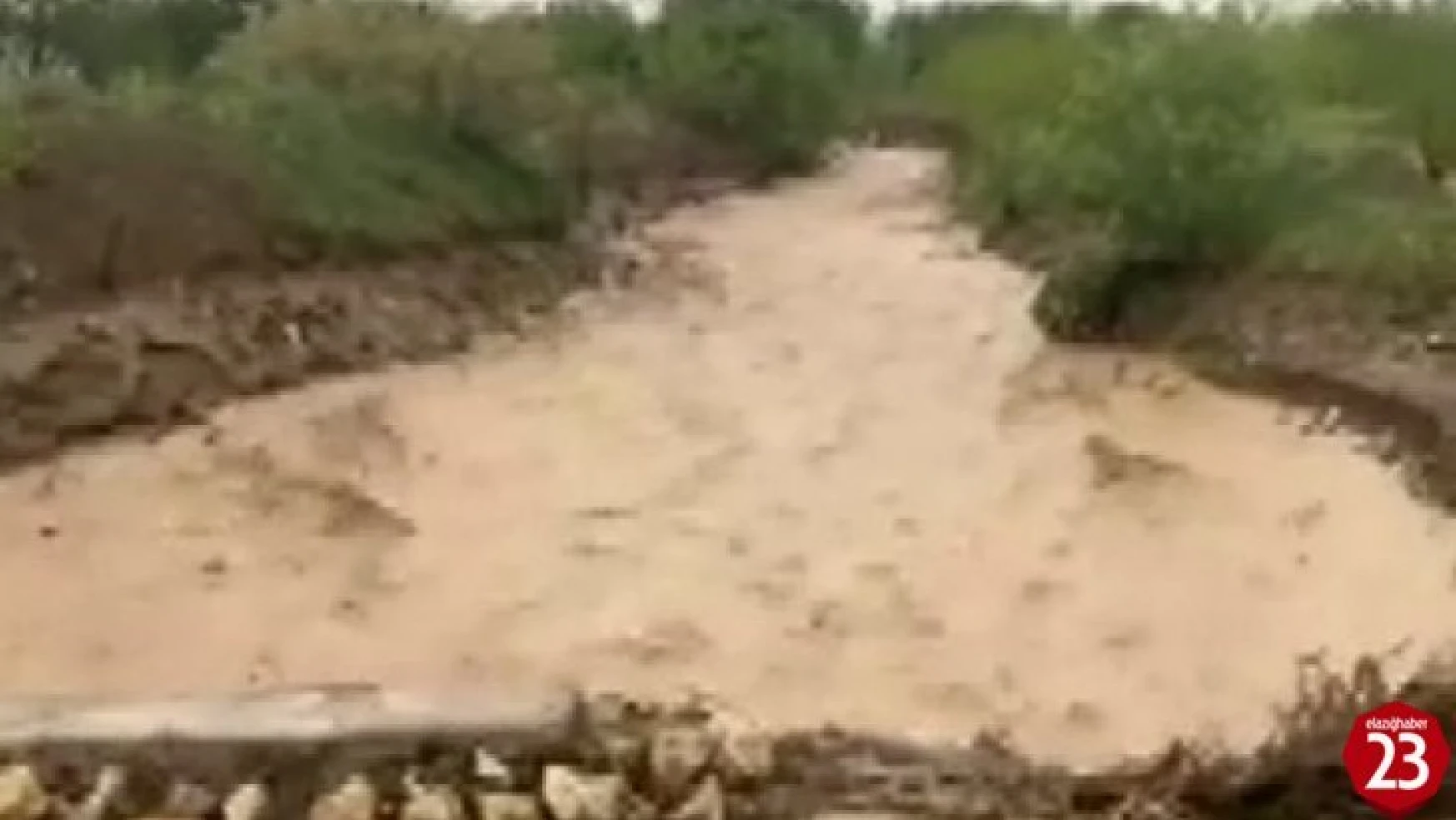 Elazığ'da Dereler Taştı, Su Altında Kalan Tarım Arazileri Zarar Gördü