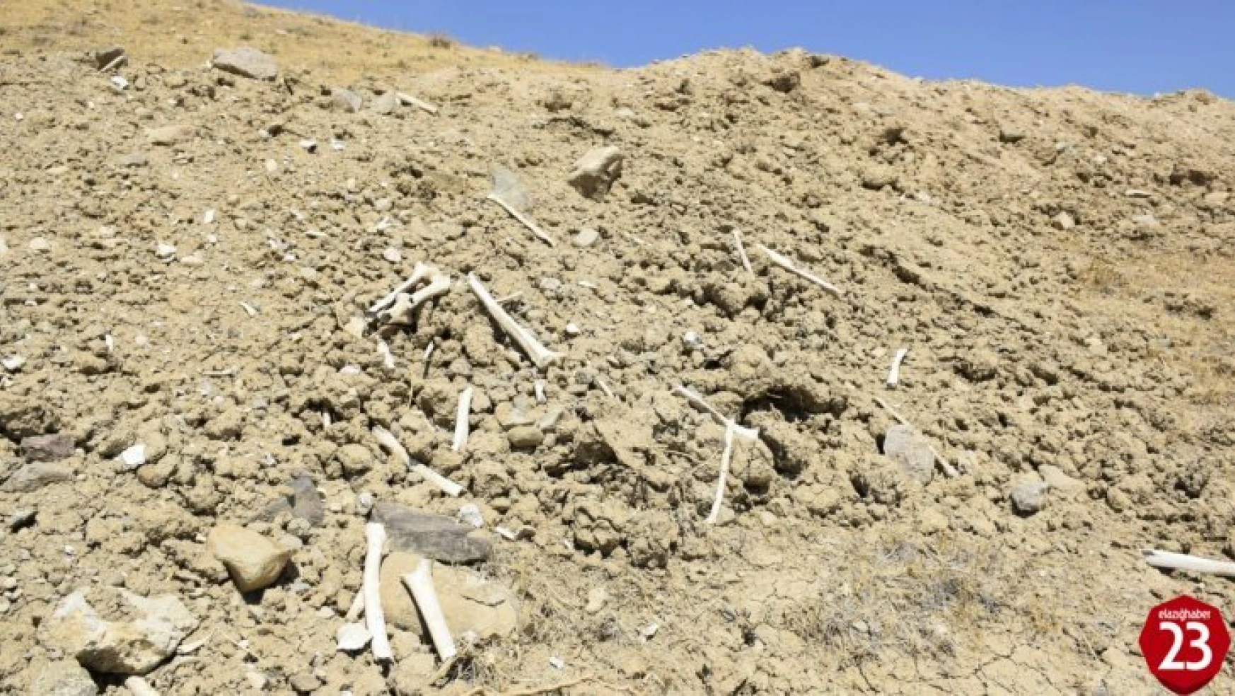 Palu'da İçme Suyu yolu Mezarlık İçinden Geçince, Kemikler Etrafa Saçıldı