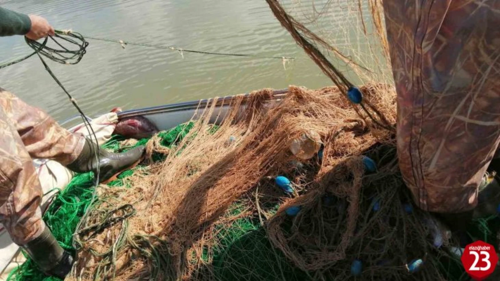 Elazığ'da kaçak avlandığı tespit edilen 100 kilo canlı balık ele geçirildi