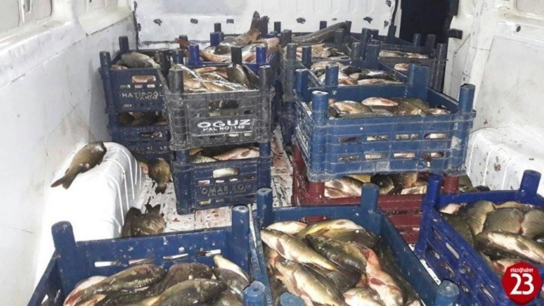 Elazığ'da kaçak balık avına 10 bin TL ceza kesildi