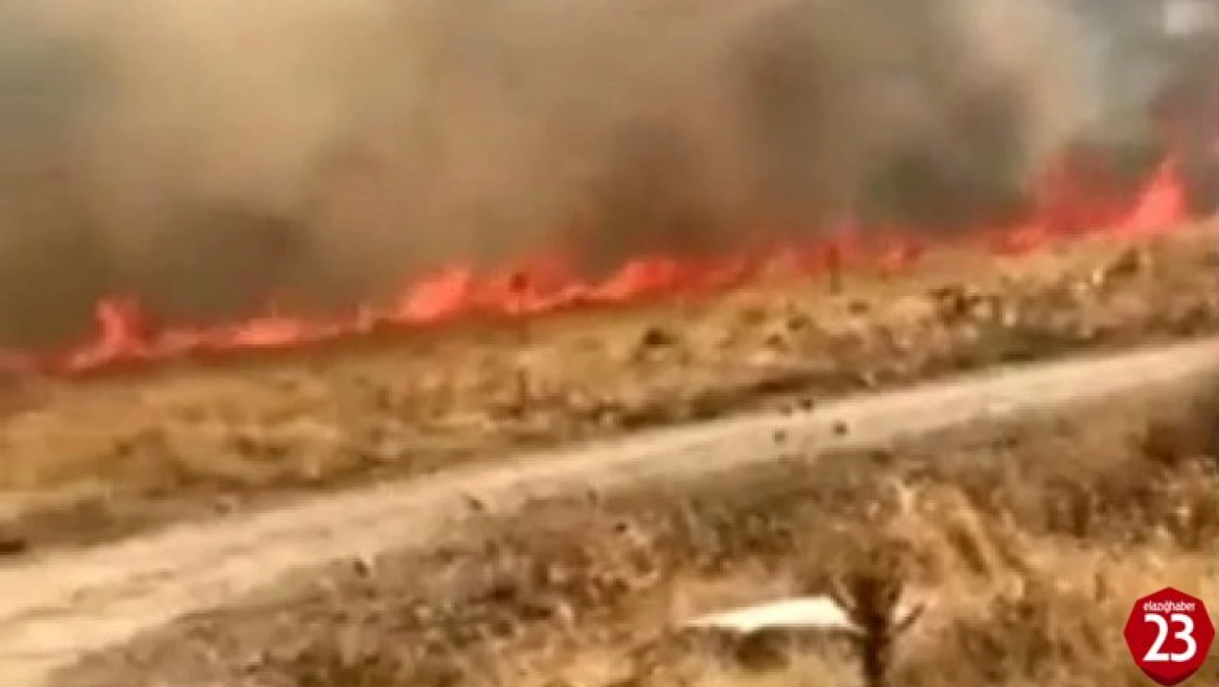 Karakoçan'da Korkutan Yangın, 10 Dönüm Alan Zarar Gördü