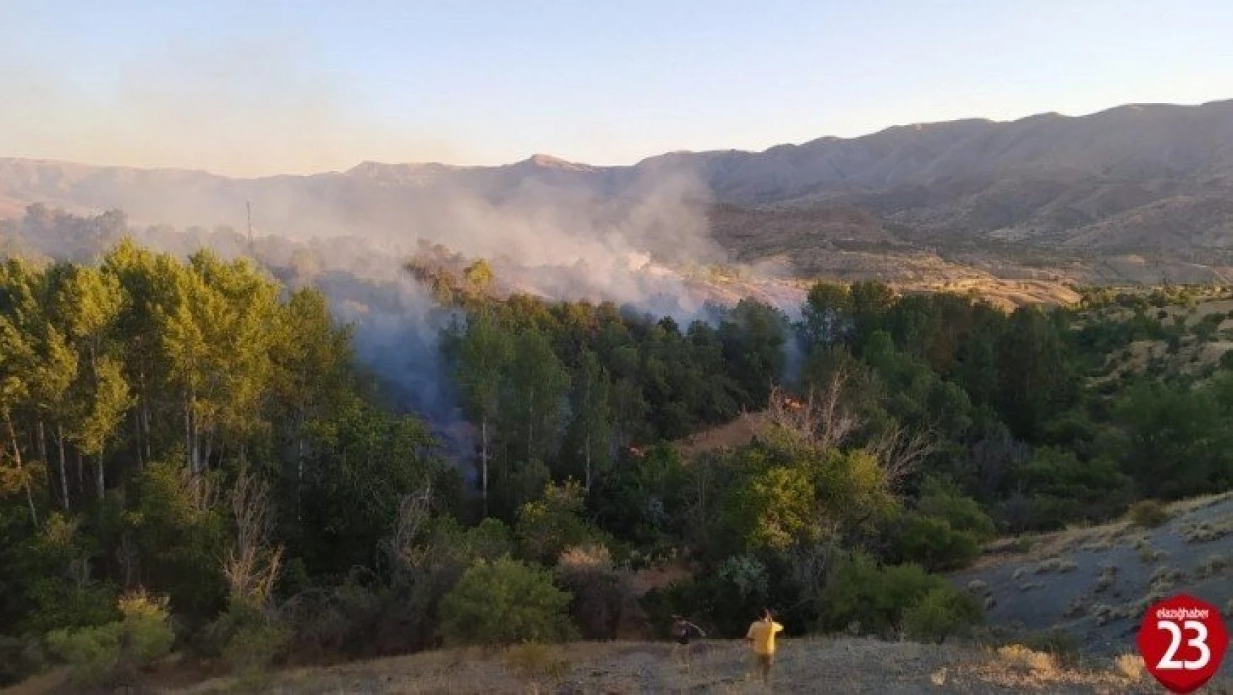 Elazığ'da orman yangını, 30 dönüm zarar gördü