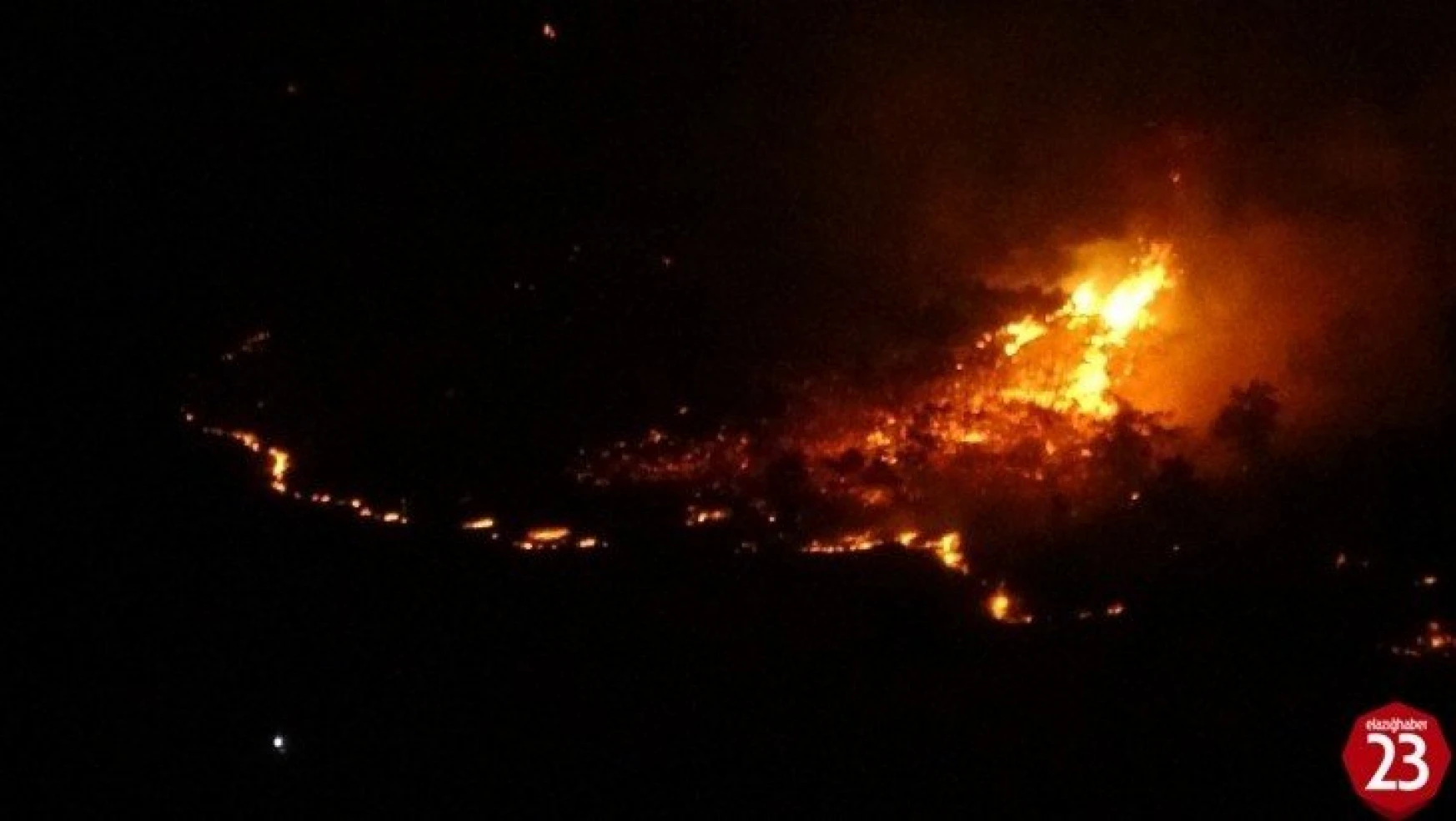 Elazığ'da orman yangını, müdahale sürüyor