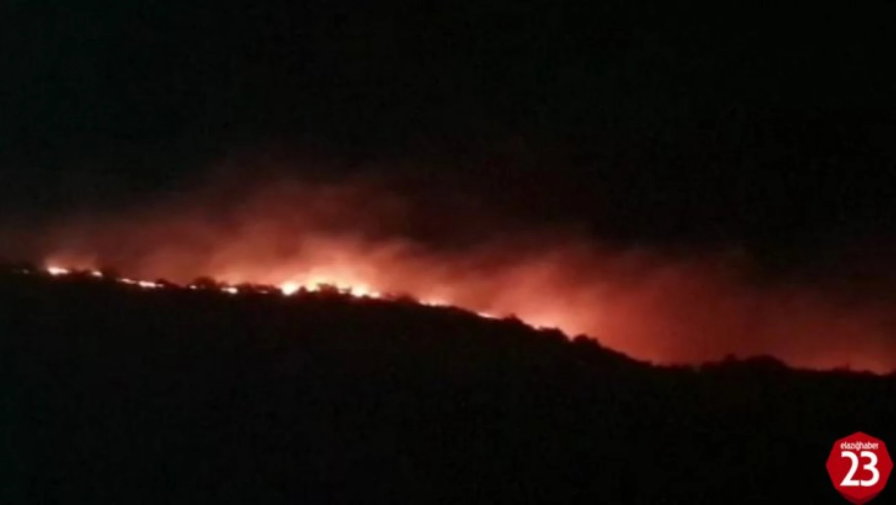 Karakoçan'da Orman Yangını