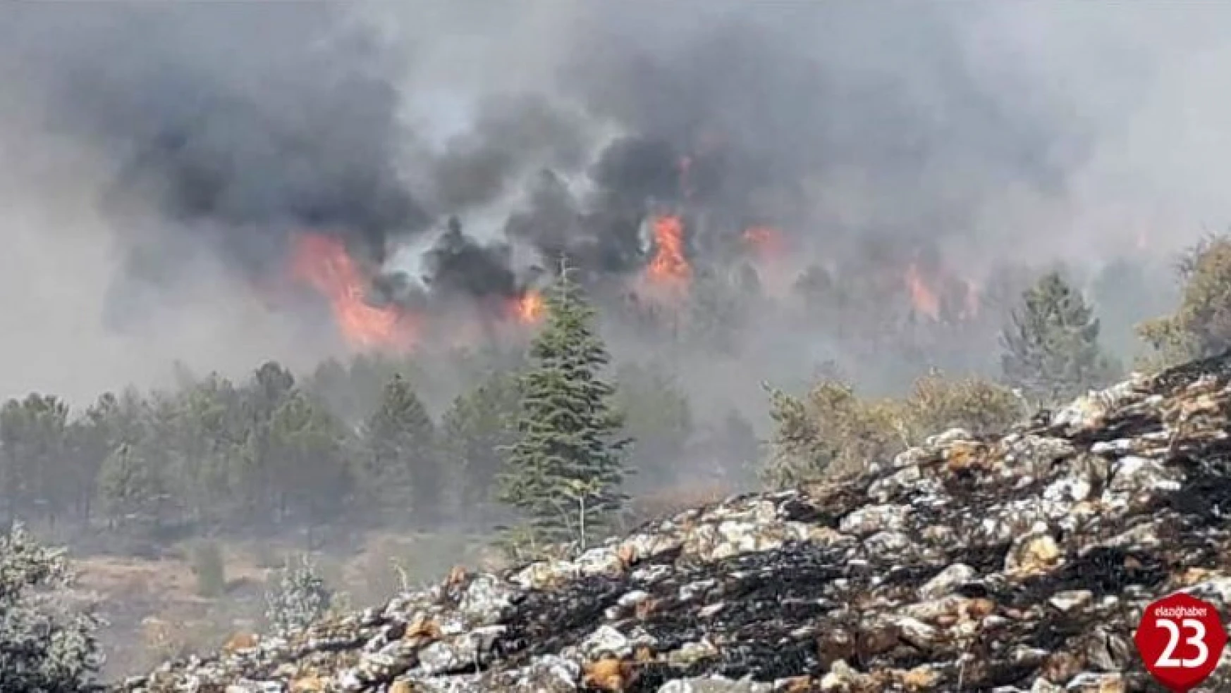 Keban'da Orman Yangınına Müdahale Sürüyor