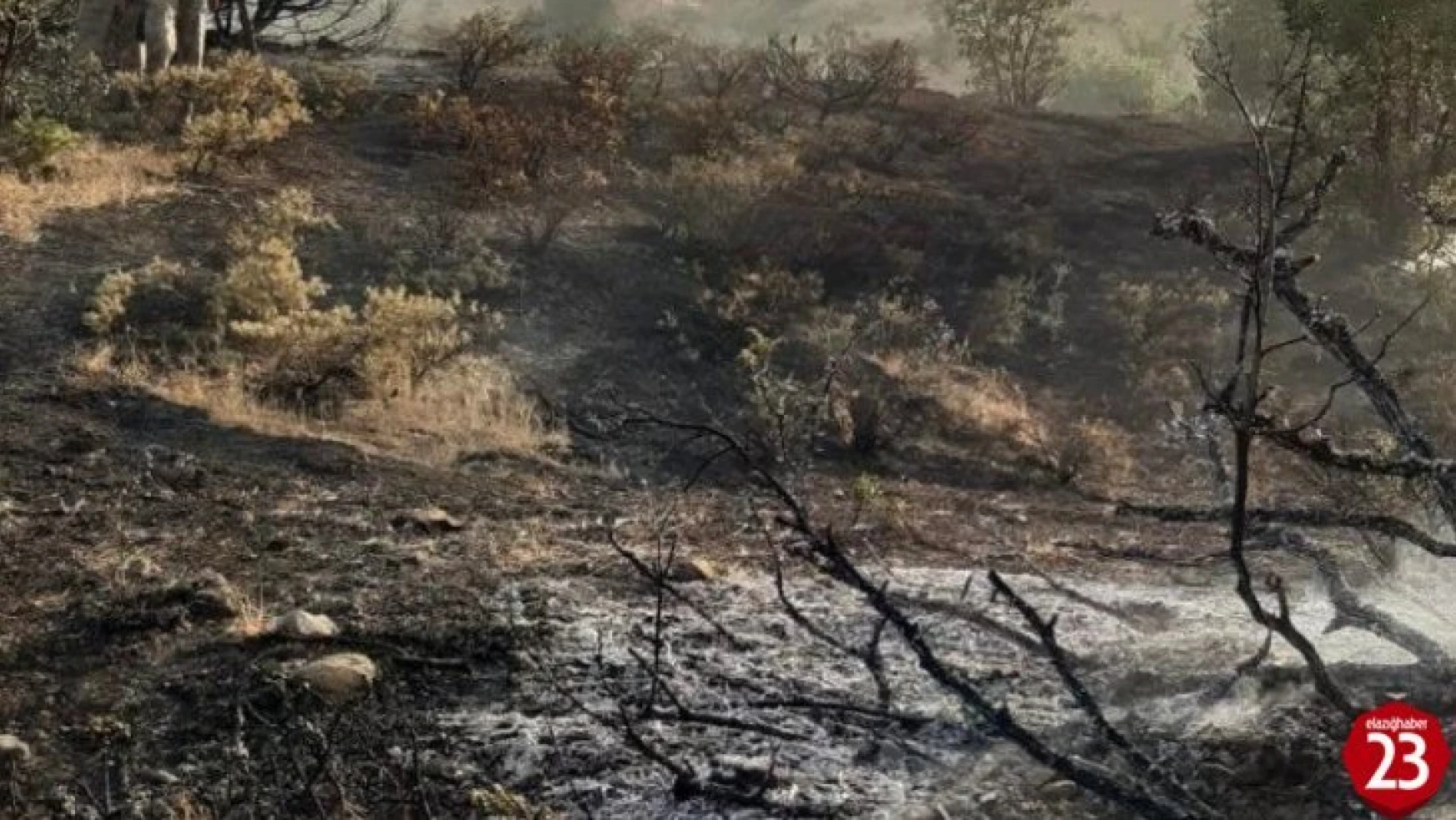 Arıcak'ta Ormanlık Alanda Çıkan Yangın Büyümeden Söndürüldü