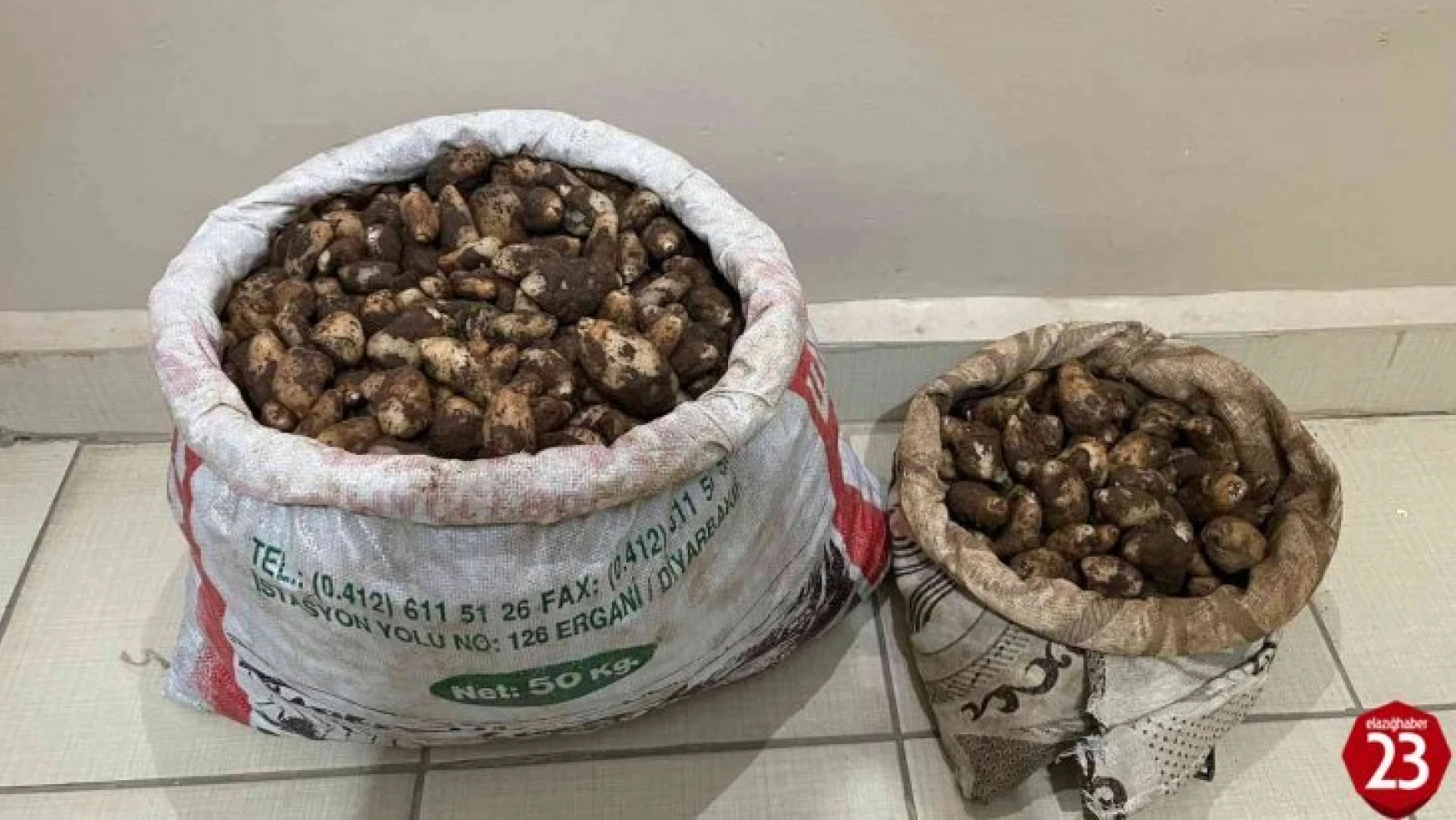 Arıcak'ta Salep Soğanı Toplayan 4 Kişiye 436 Bin Lira Para Cezası