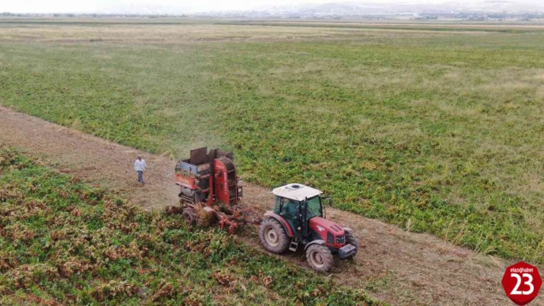 Elazığ'da Şeker Pancarı Mesaisine Başlayan Çiftçiler Fiyattan Memnun