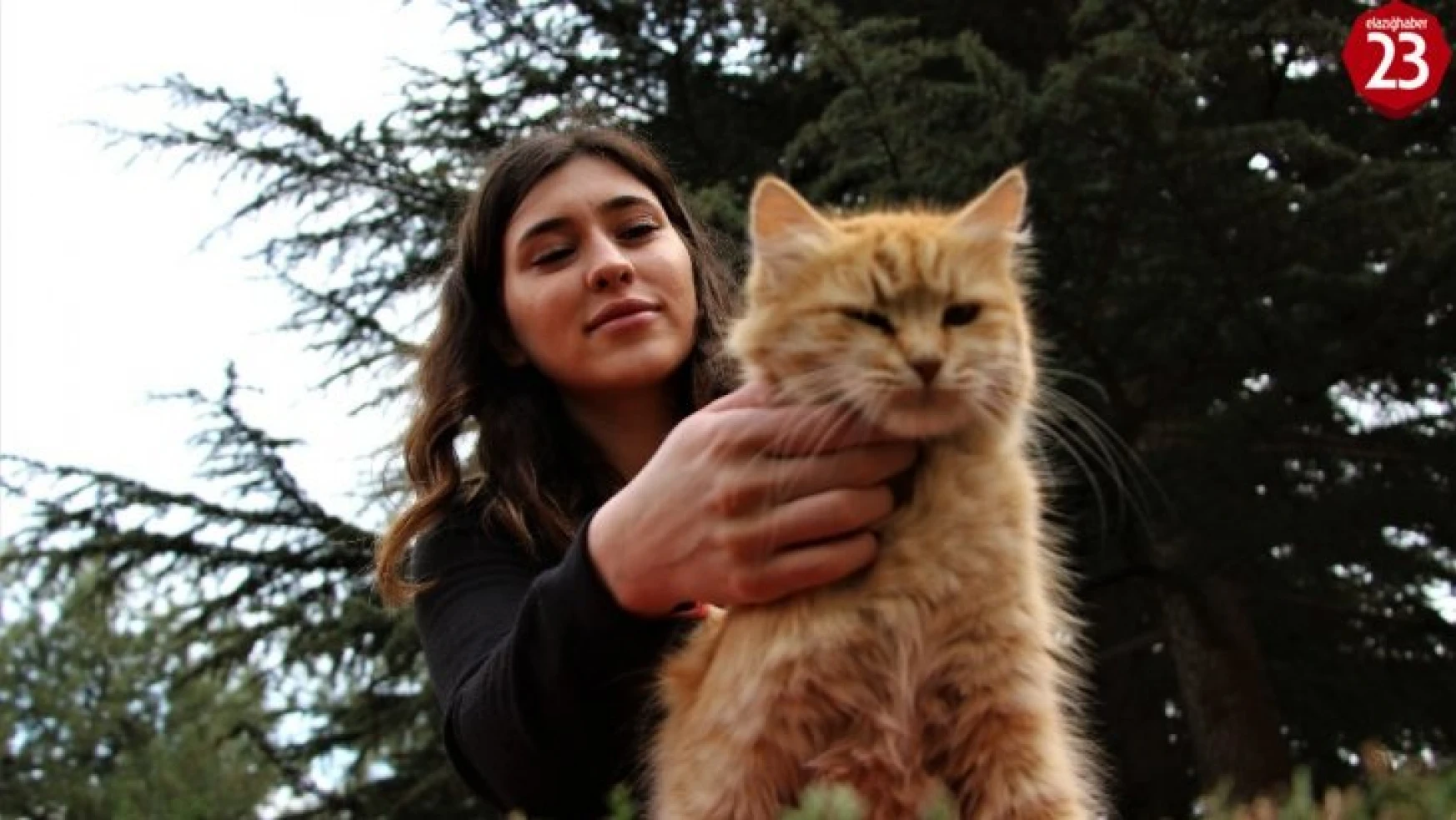 Elazığ'da üniversite öğrencisi, sokak hayvanlarını besliyor