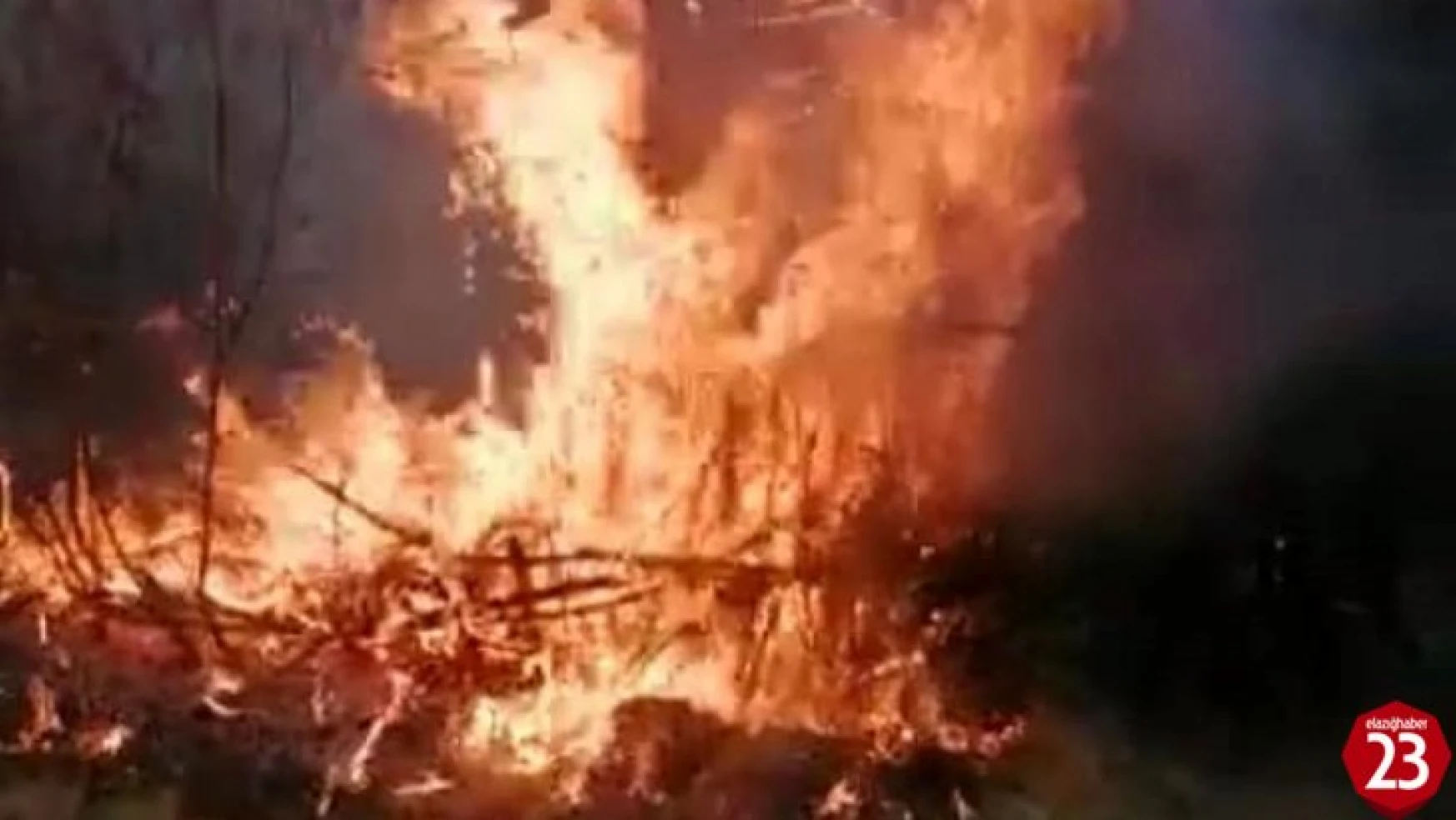 Karakoçan'da Yangın 4 Bahçe Zarar Gördü