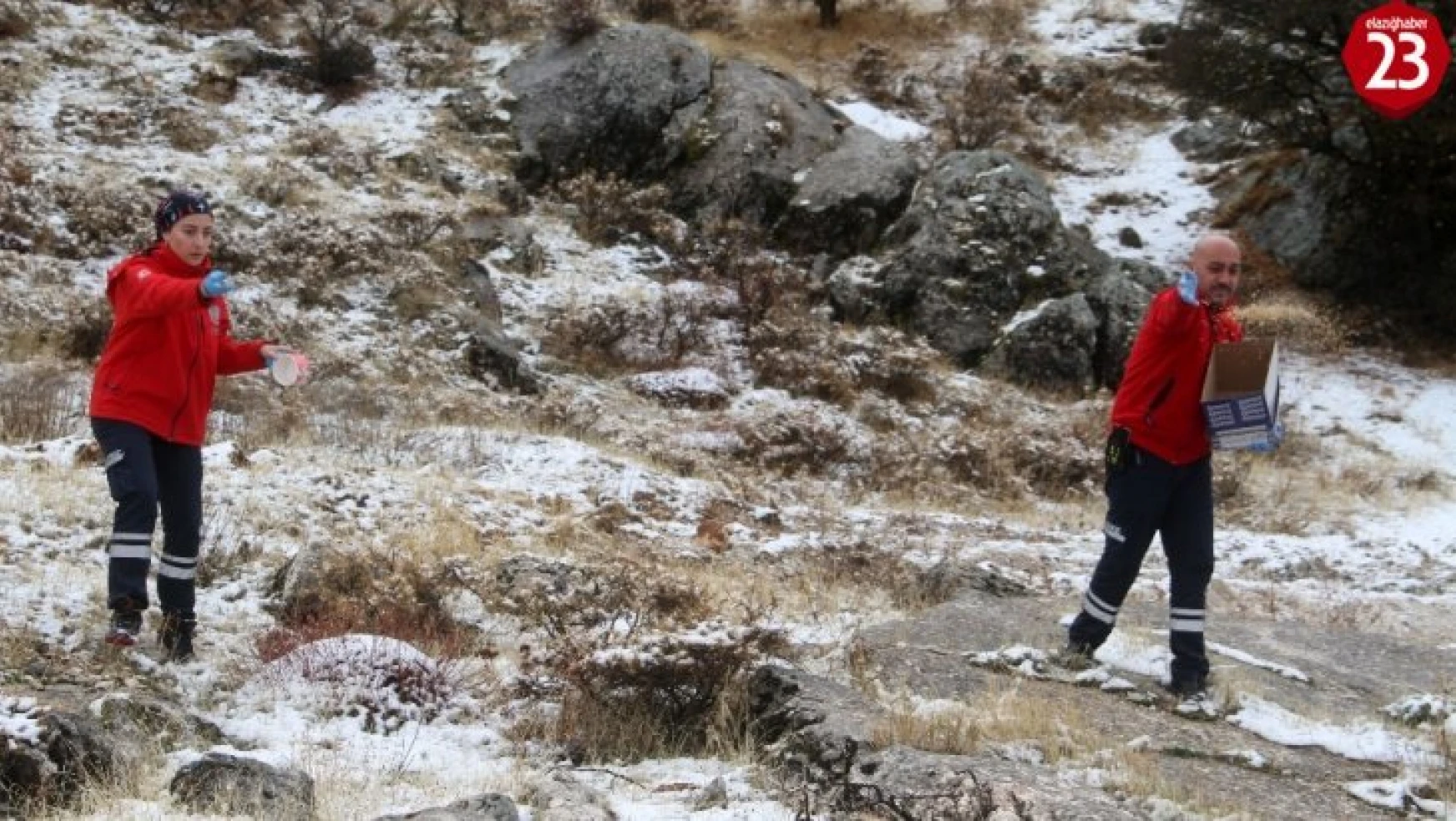 Elazığ'da yüksek kesimlere kar yağdı, sağlıkçılar doğaya yem bıraktı