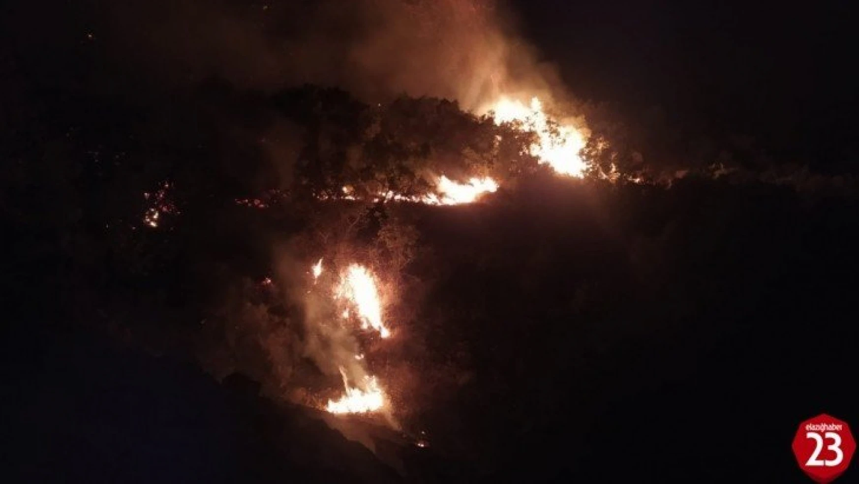 Elazığ'daki orman yangını 30 saatte kontrol altına alındı