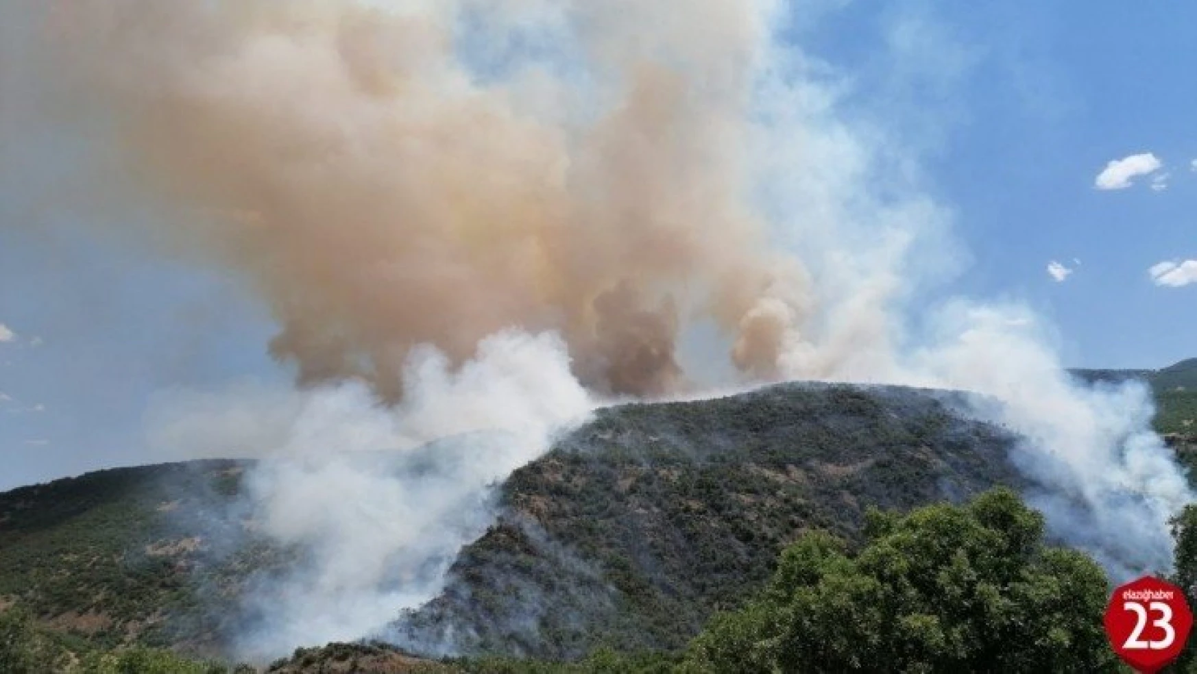 Elazığ'daki orman yangını kontrol altına alınmaya çalışılıyor