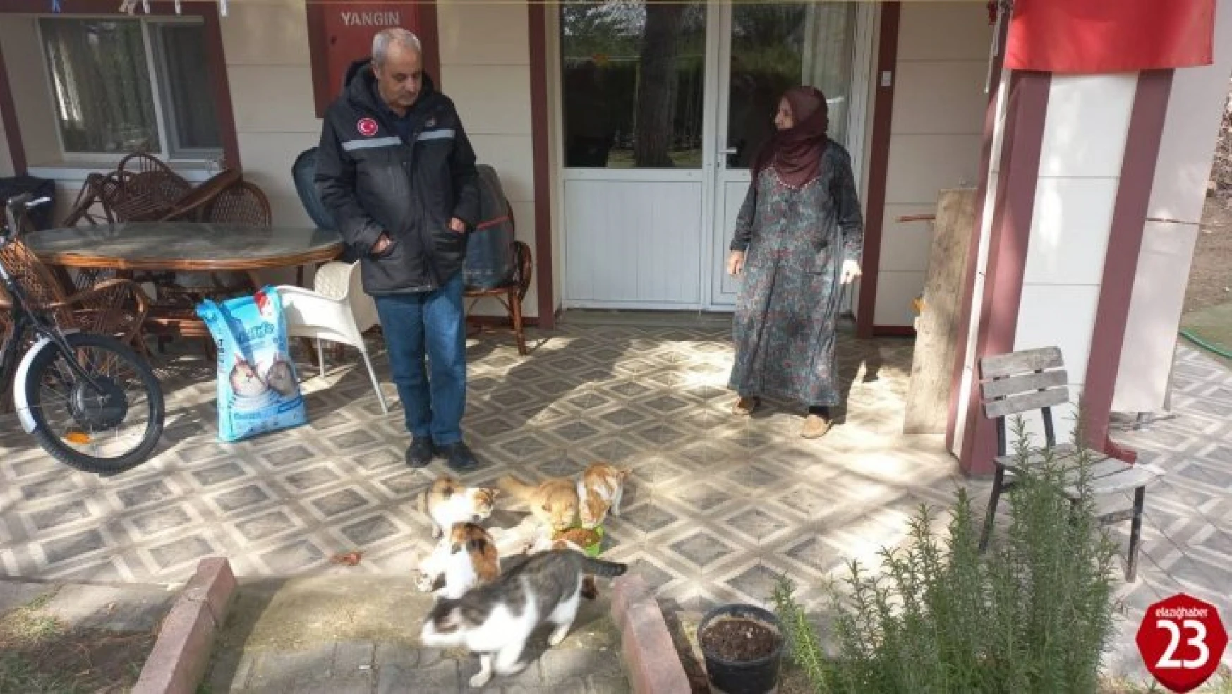 Keban'da Evinin Bahçesinde 30 Kediye Bakan Zahide Nineye İl Özel İdare Ekiplerinden Mama Desteği