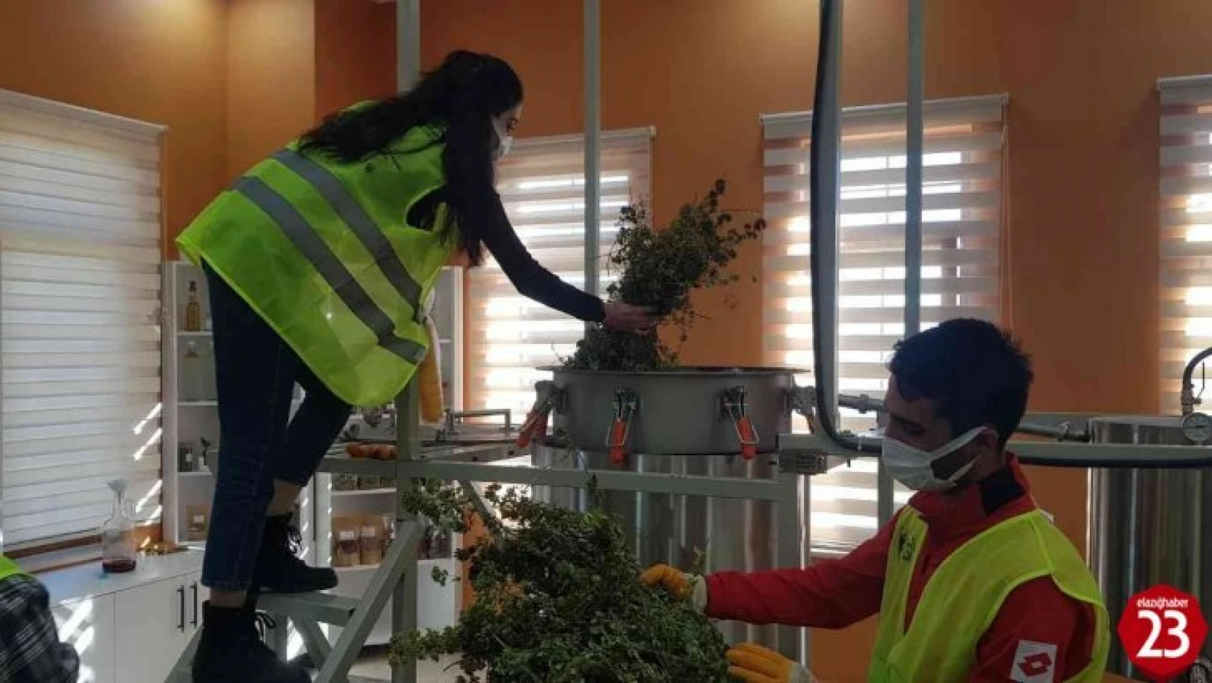 Gençlerin ürettiği bitki çayı ve sebze tohumları, Cumhurbaşkanı Erdoğan'a gönderiliyor