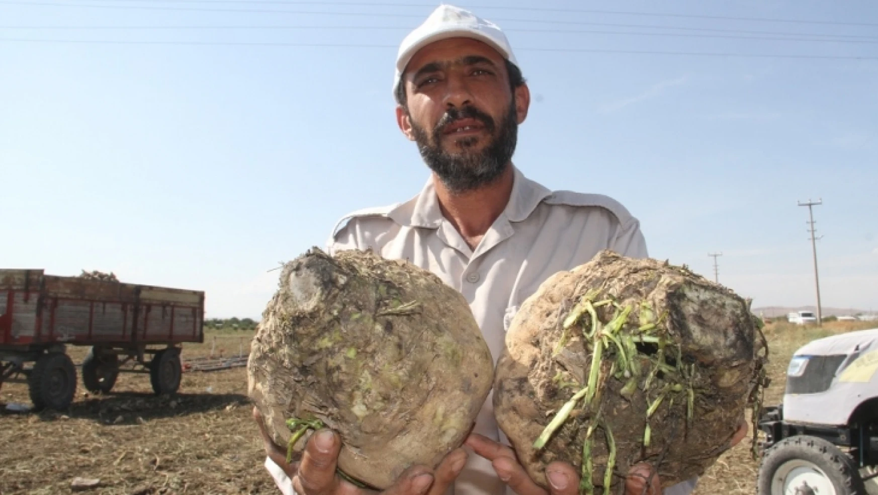 Elazığ'ın Bu Yıl Yeterli Yağış Almaması Pancarda Üretimi Azalttı