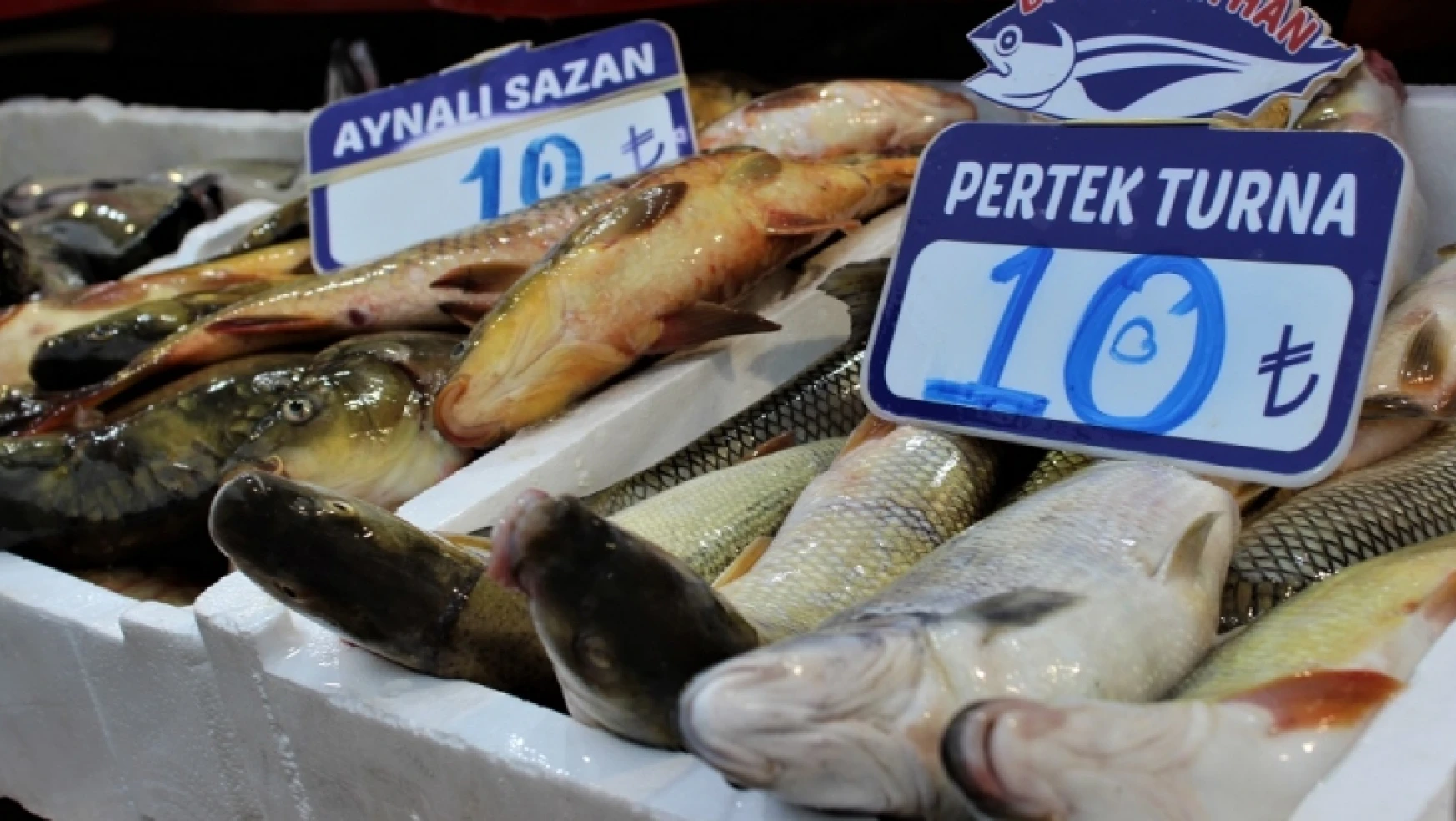 Elazığ'da Göl Balıkları Hamsiden Bile Ucuz