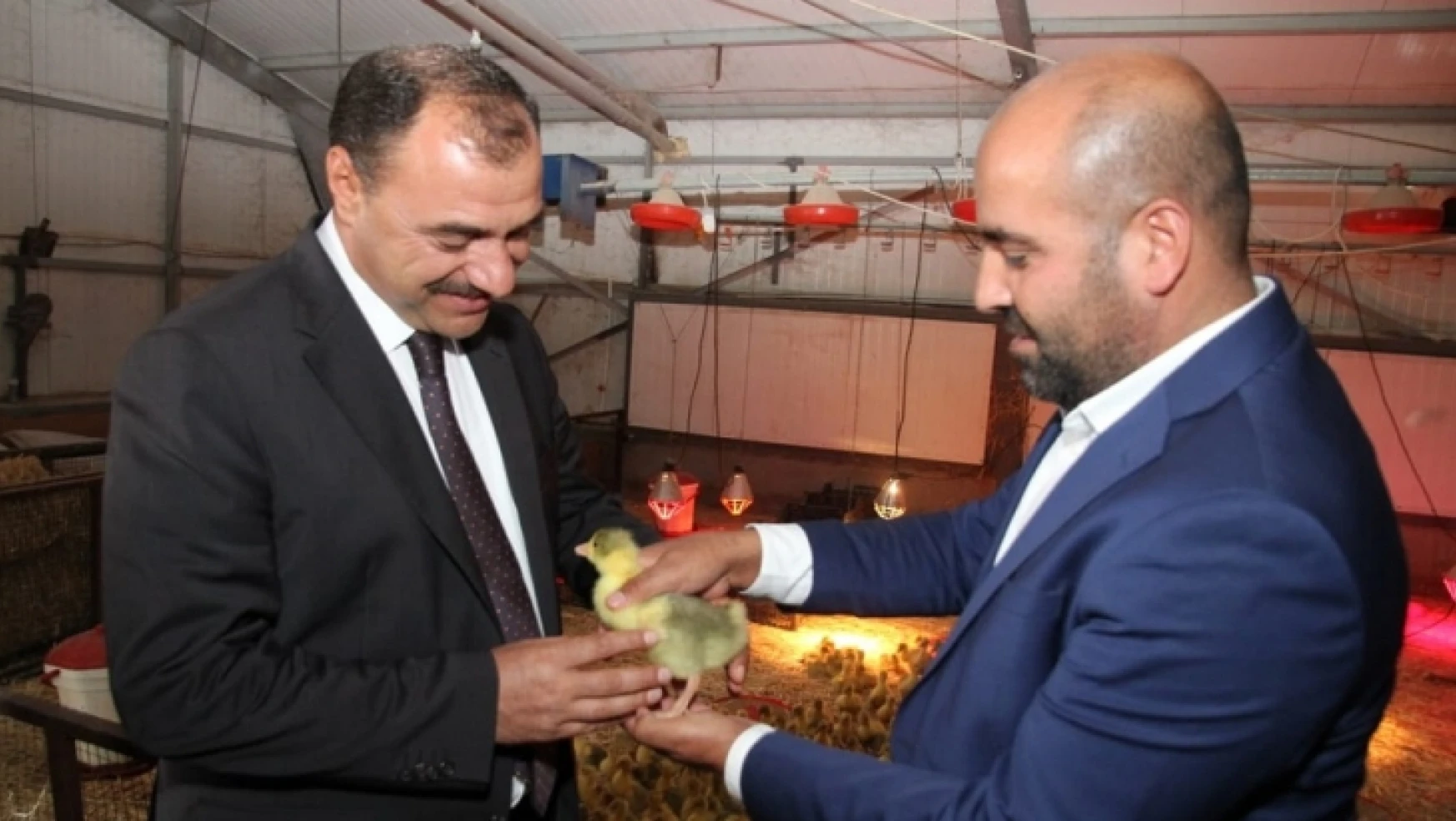 Vali Kaldırım Kovancılar'da Türkiye'nin En Büyük Kaz Çiftliğini Gezdi