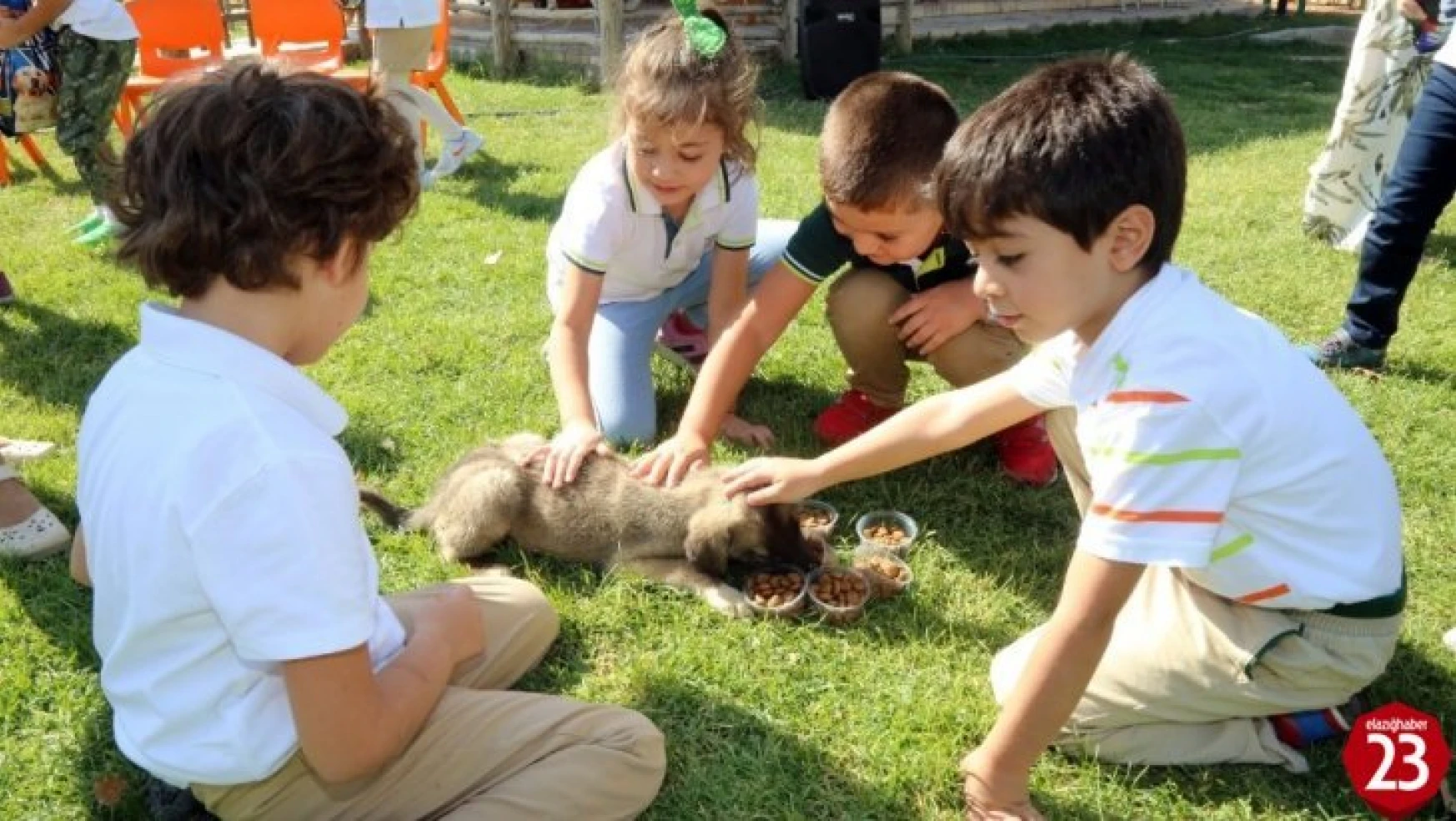 Elazığ'da Hayvan Sevgisini Aşılayan Örnek Proje