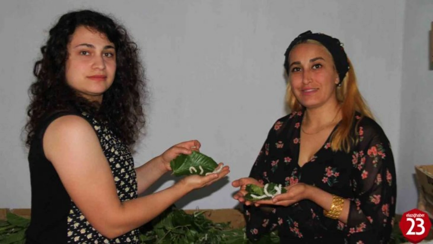 Elazığ'da İki Kadın Arkadaş İpek Böcekçiliğine Başladı, 45 Günde 34 Bin Lira Kazanacaklar