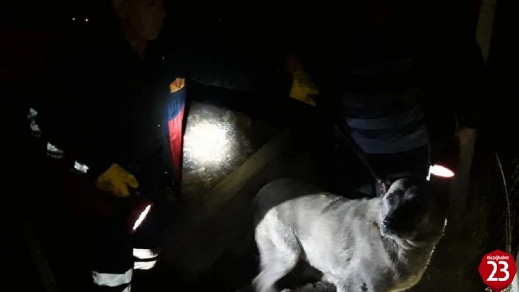 Karakoçan'da Kuyuya Düşen Köpek Ve Yavrusunu İtfaiye Ekipleri Kurtardı