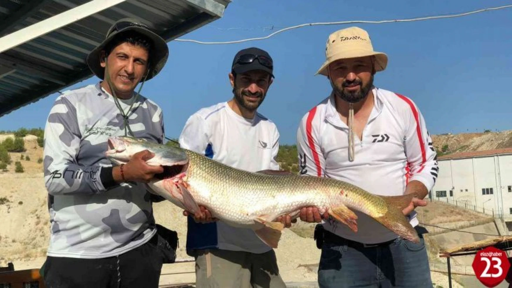 Keban'da Oltayla 26 Kiloluk Dev Turna Balığı Yakaladılar