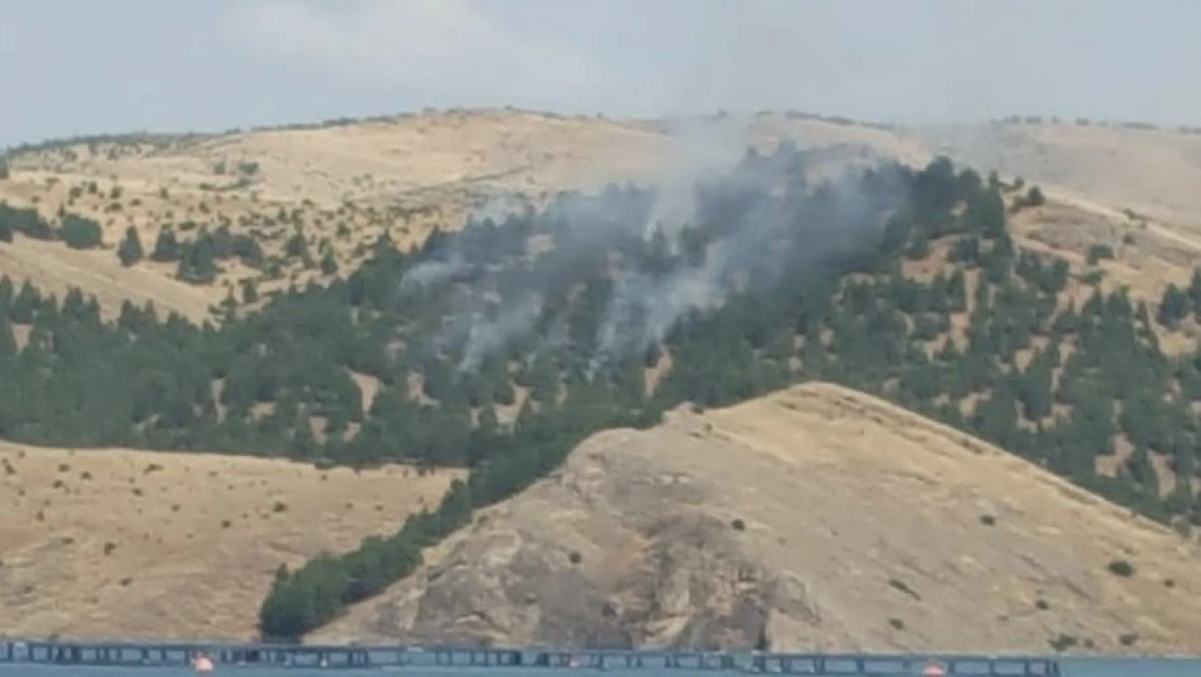 Keban'da Ormanlık Alanda Yangın Çıktı, 3 Saatte Kontrol Altına Alındı