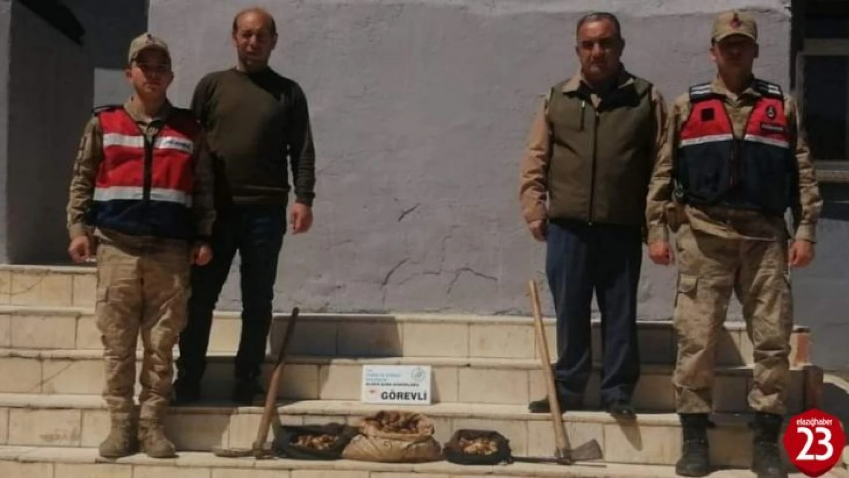Elazığ'da Salep Soğanı Toplayan 8 Kişiye 872 Bin Lira Ceza
