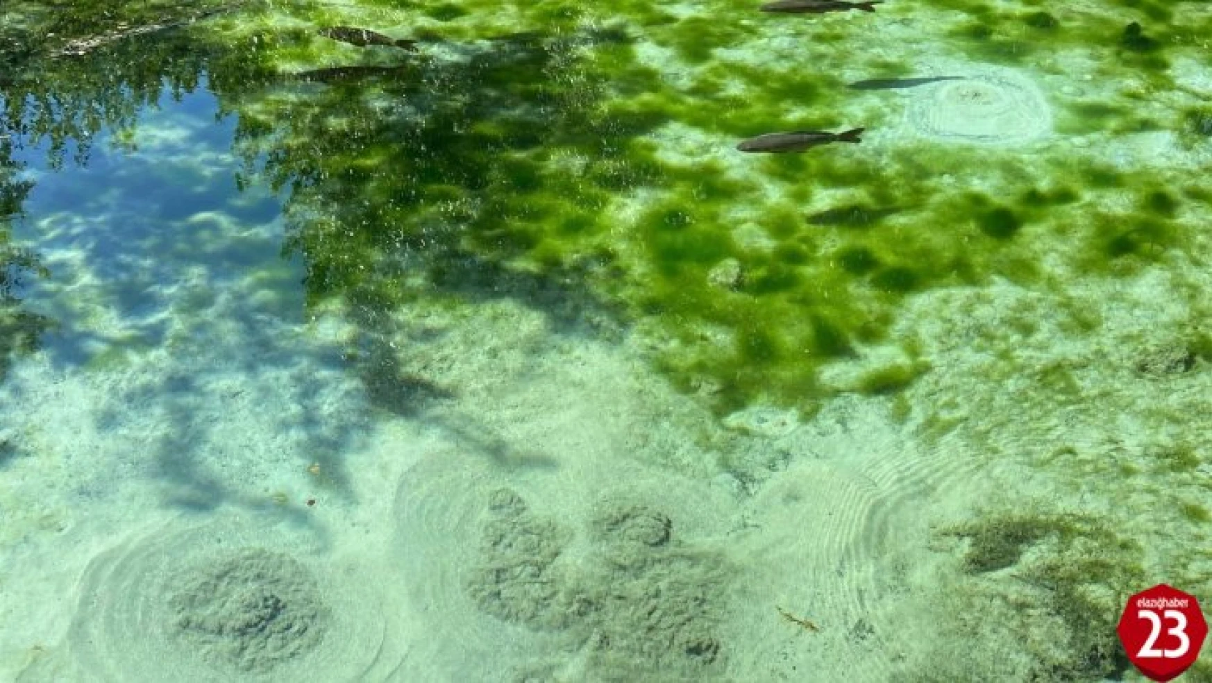 Elazığ'da Gizemli Dipsiz Göl, Görenleri Hem Şaşırtıyor Hem De Büyülüyor