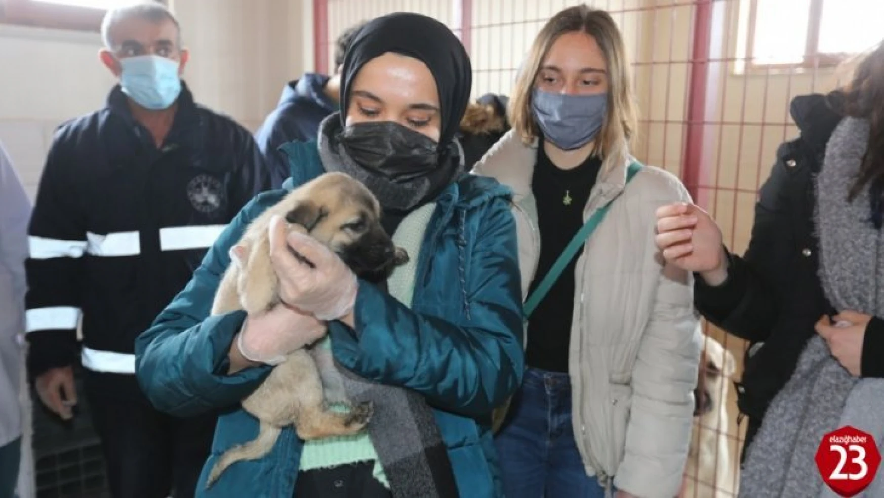 Veteriner Fakültesi öğrencilerinden Elazığ Belediyesi Hayvan Hastanesine tam not